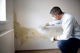 Best Commercial Mold Inspection in Shasta Lake, CA